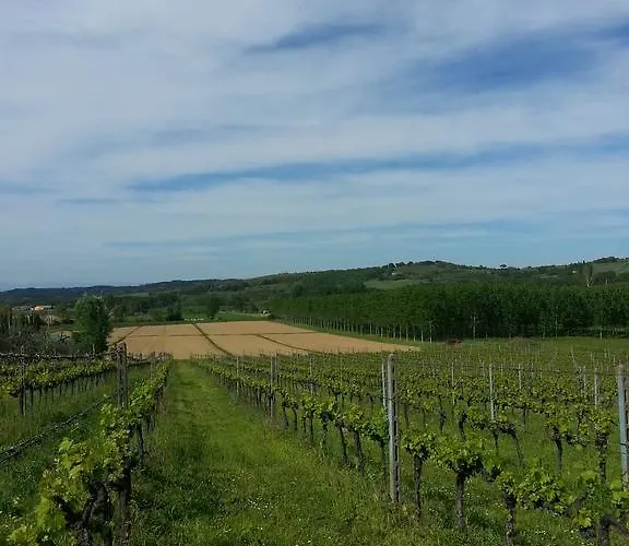 Feriegård Podere Chiasso Gherardo