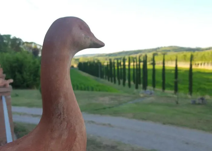 Feriegård Podere Chiasso Gherardo Peccioli