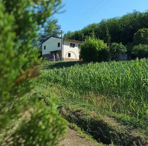 Feriegård Podere Chiasso Gherardo