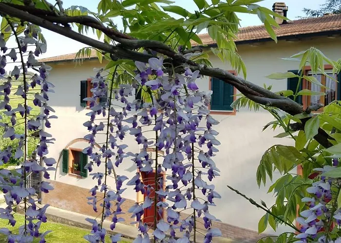 Podere Chiasso Gherardo Feriegård *