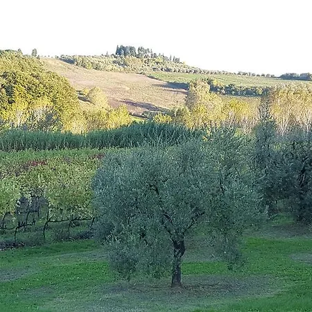 Podere Chiasso Gherardo
