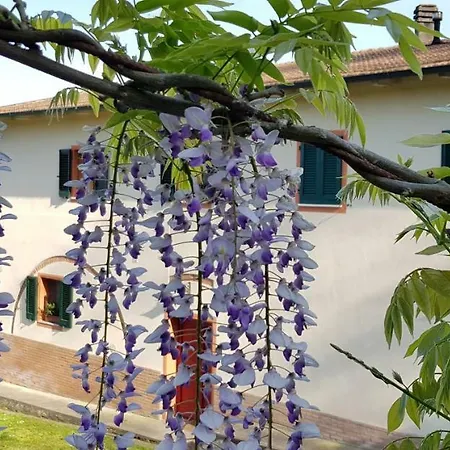 Podere Chiasso Gherardo Çiftlik konaklama *