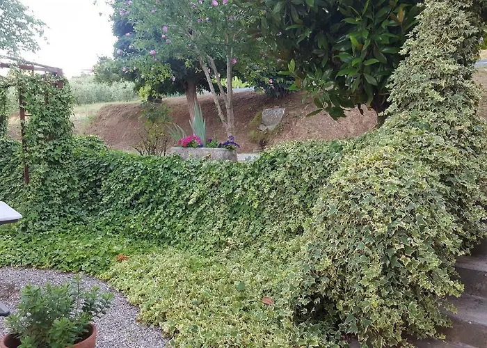 Κατάλυμα σε φάρμα Podere Chiasso Gherardo