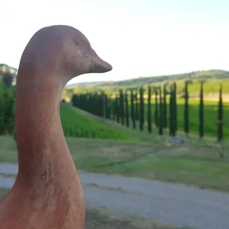 Farm stay Podere Chiasso Gherardo Peccioli