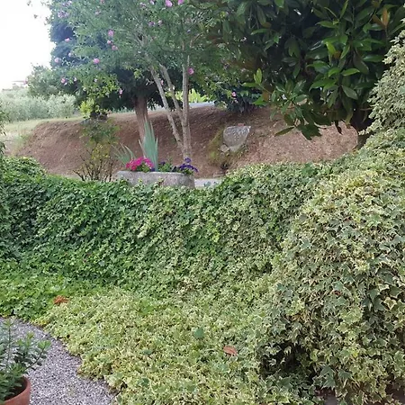 Farm stay Podere Chiasso Gherardo